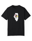 Illinois Flag Shirt