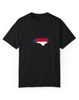 North Carolina Flag Shirt