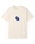 Wisconsin Flag Shirt