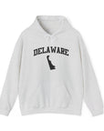 Delaware Varsity State Hoodie