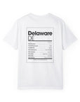 Delaware State Facts Shirt